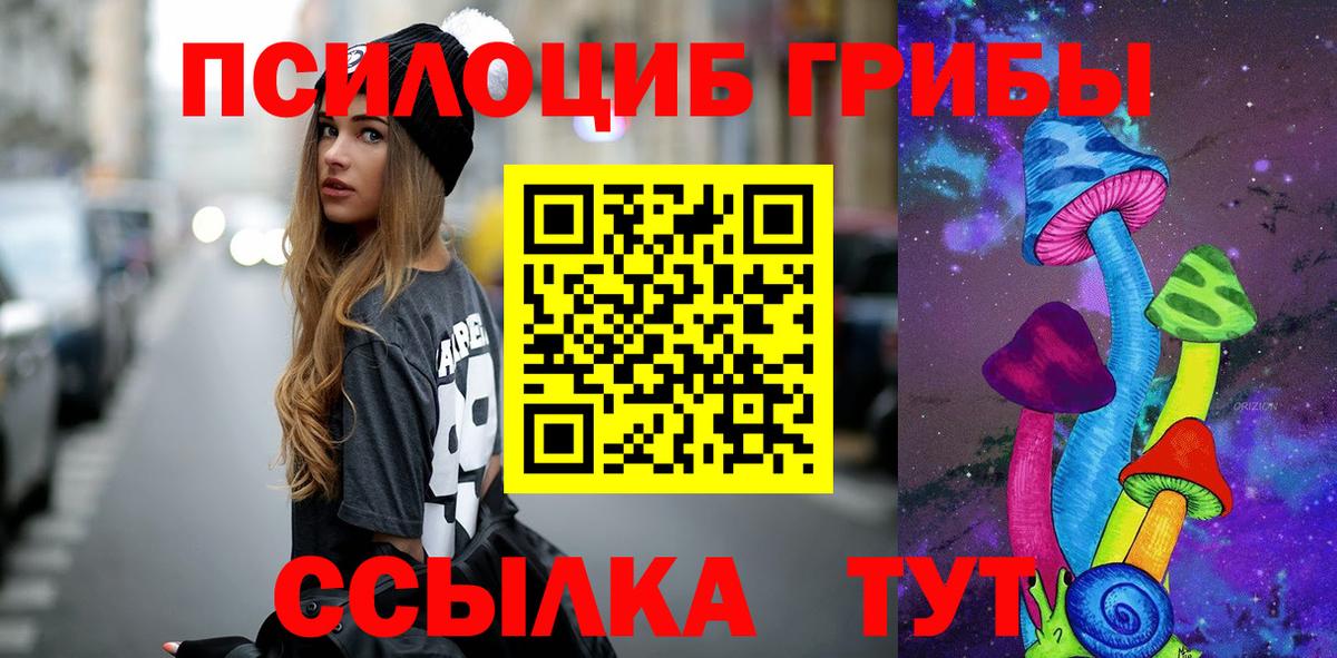 Псилоцибиновые грибы Psilocybe Астрахань