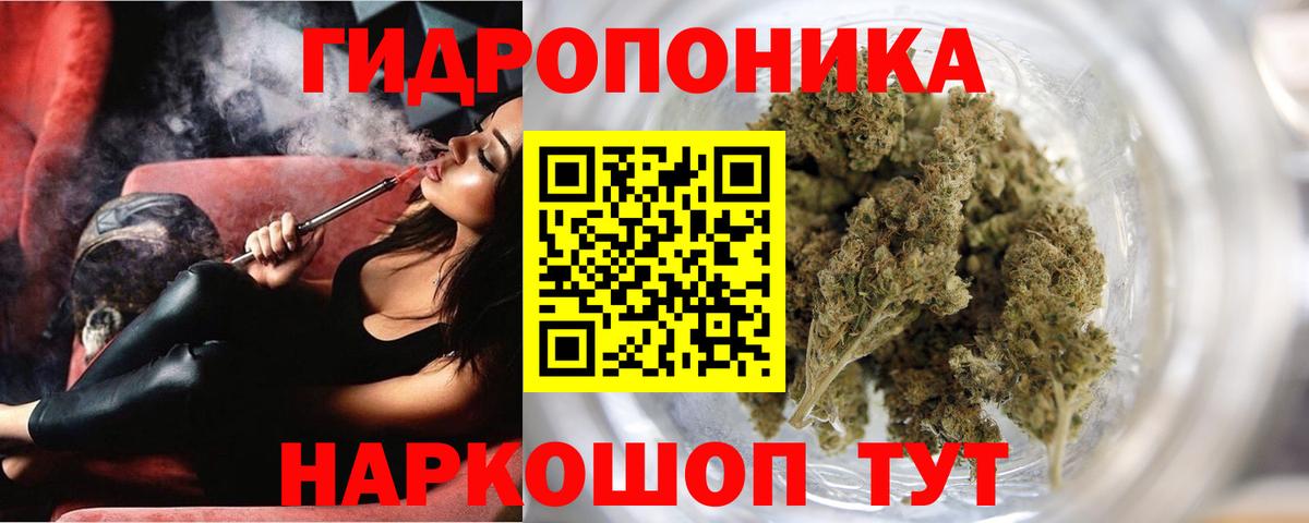 Конопля планчик  Конопля ГИДРОПОН  Канабис Ganja  МАРИХУАНА конопля  Астрахань  Вход с VPN 